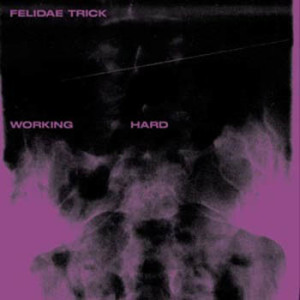 FELIDAETRICKworkinghardCOVER